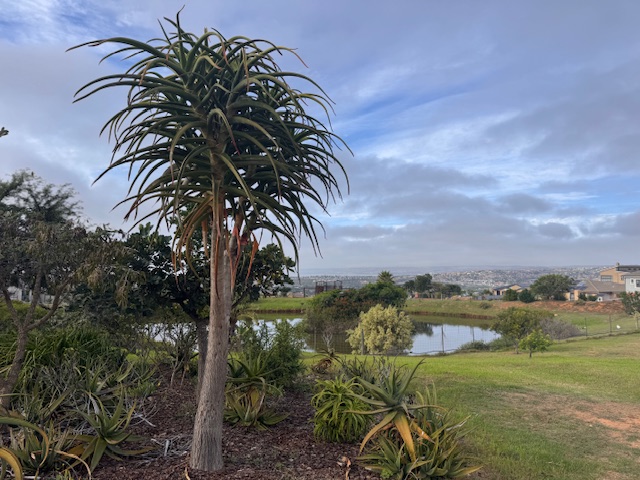 0 Bedroom Property for Sale in Monte Christo Western Cape